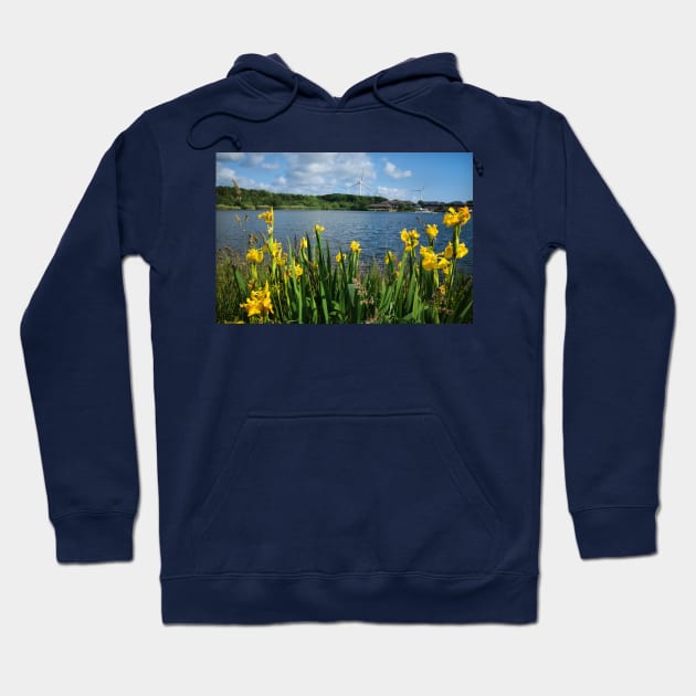 Queen Elizabeth II Country Park, Ashington Hoodie by Violaman